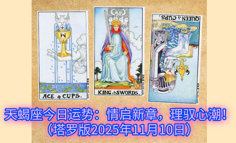 天蝎座今日运势：情启新章，理驭心潮！（塔罗版2025年11月10日）