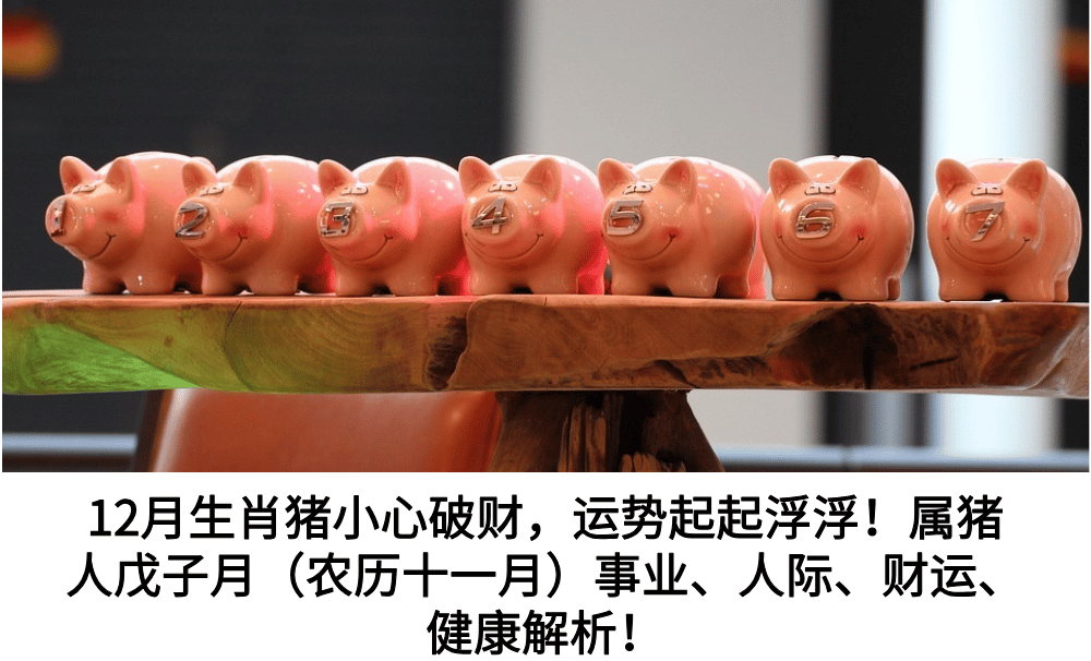 12月生肖猪小心破财，运势起起浮浮！属猪人戊子月（农历十一月）事业、人际、财运、健康解析！