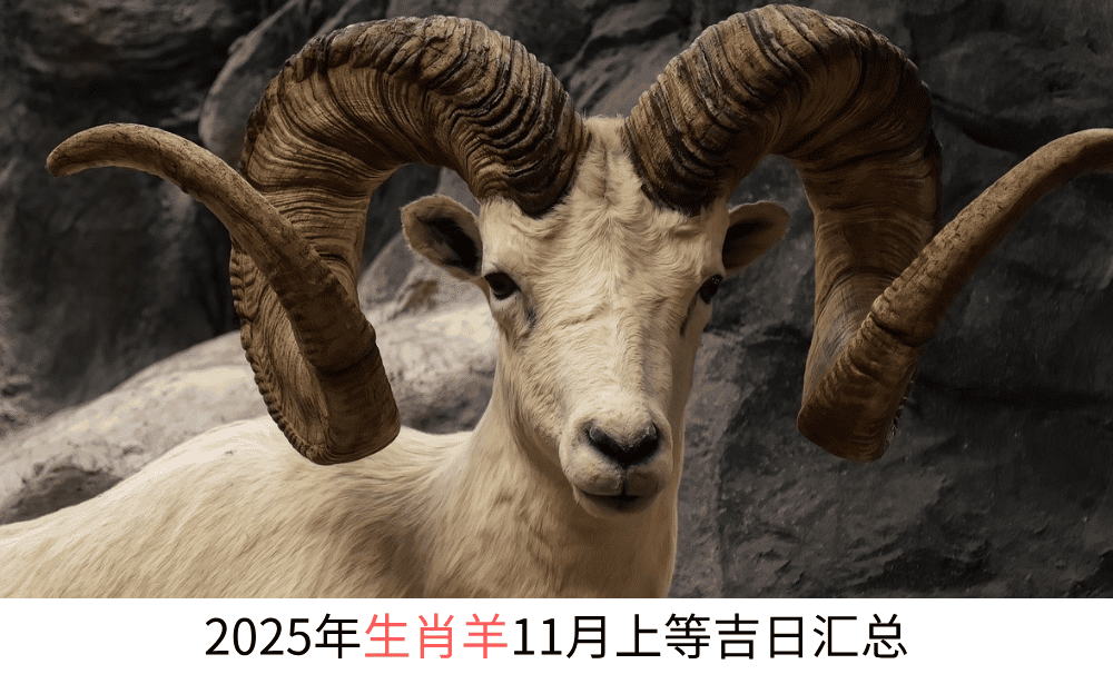 2025年生肖羊11月上等吉日汇总