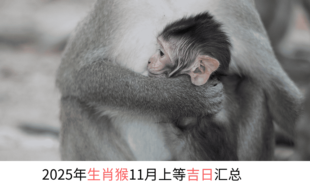 2025年生肖猴11月上等吉日汇总