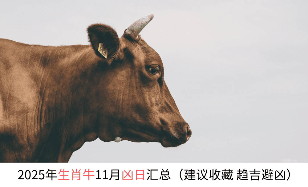 2025年生肖牛11月凶日汇总（建议收藏趋吉避凶）