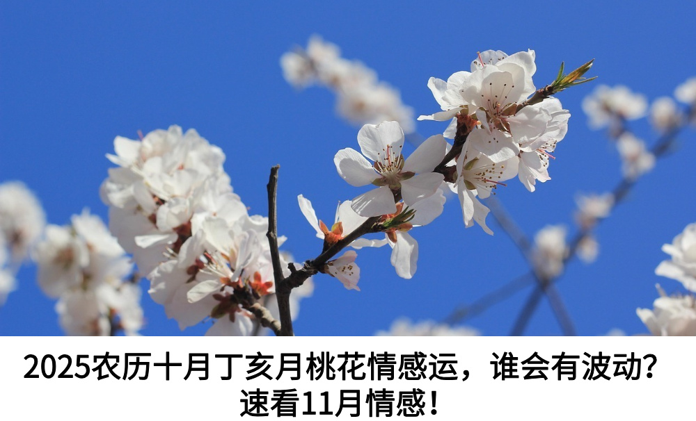 2025农历十月丁亥月桃花情感运