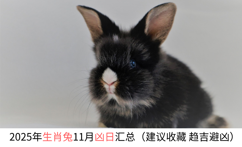2025年生肖兔11月凶日汇总（建议收藏趋吉避凶）