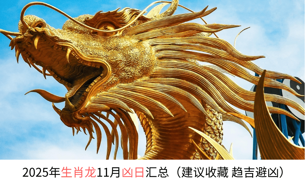 2025年生肖龙11月凶日汇总（建议收藏趋吉避凶）