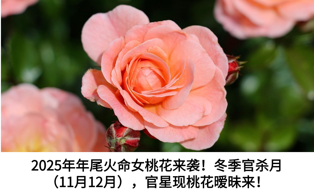 2025年年尾火命女桃花来袭！冬季官杀月（11月12月），官星现桃花暧昧来！