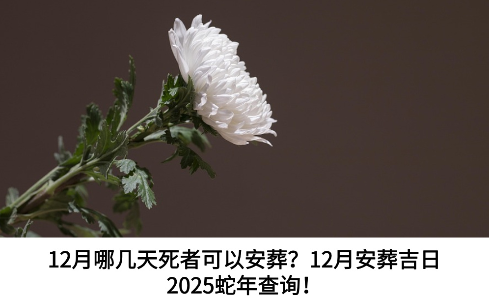 12月哪几天死者可以安葬？12月安葬吉日2025蛇年查询！