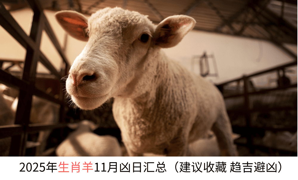 2025年生肖羊11月凶日汇总（建议收藏趋吉避凶）