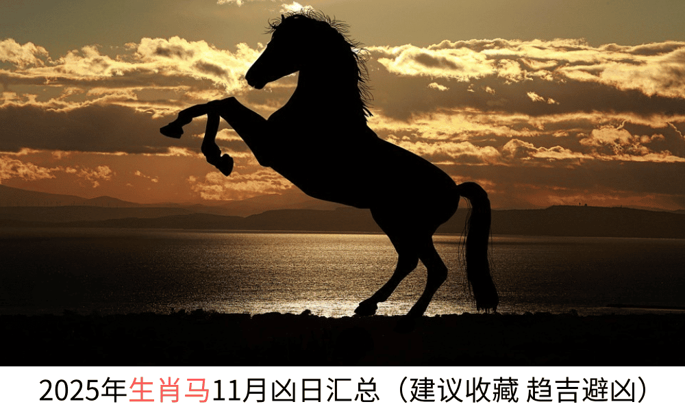 2025年生肖马11月凶日汇总（建议收藏趋吉避凶）