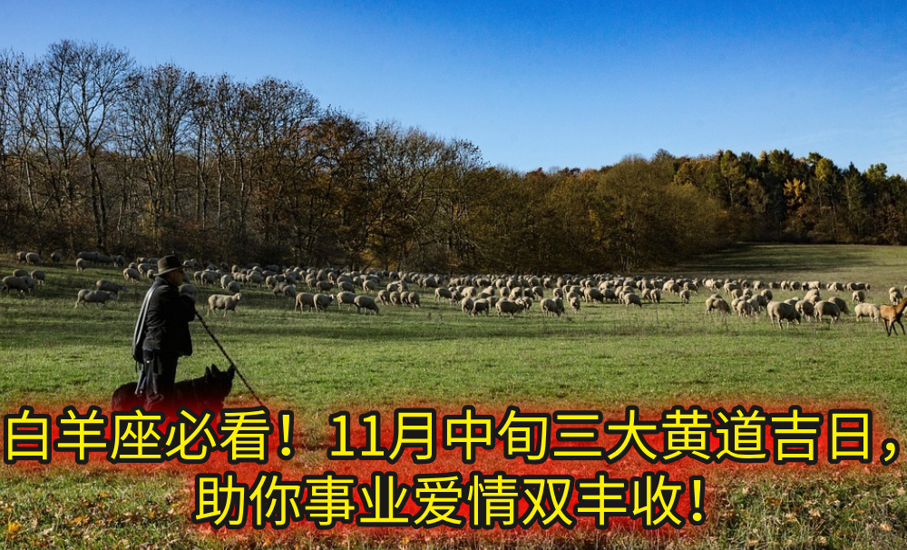 白羊座必看！11月中旬三大黄道吉日，助你事业爱情双丰收！