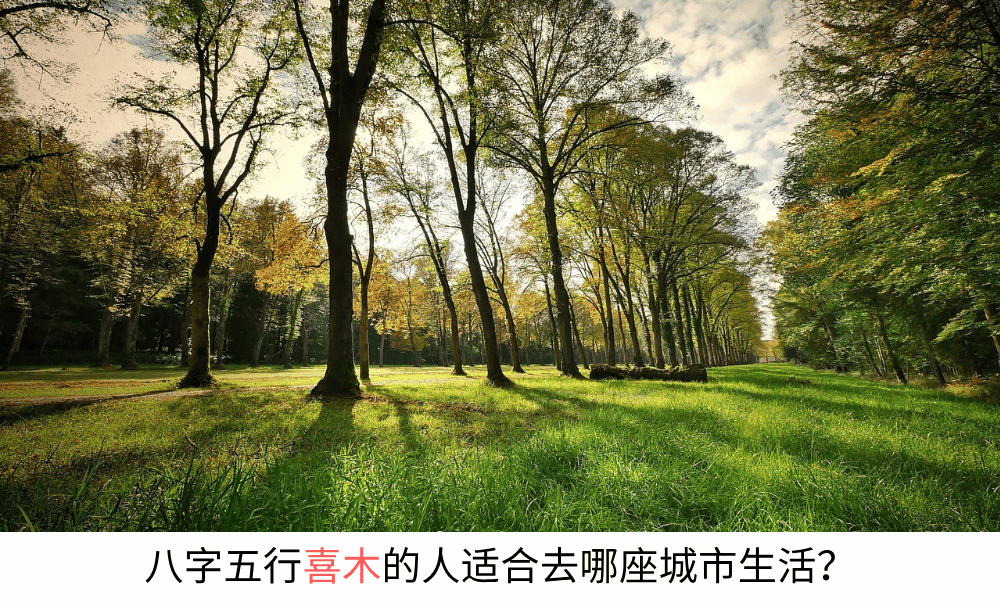 八字五行喜木的人适合去哪座城市生活？