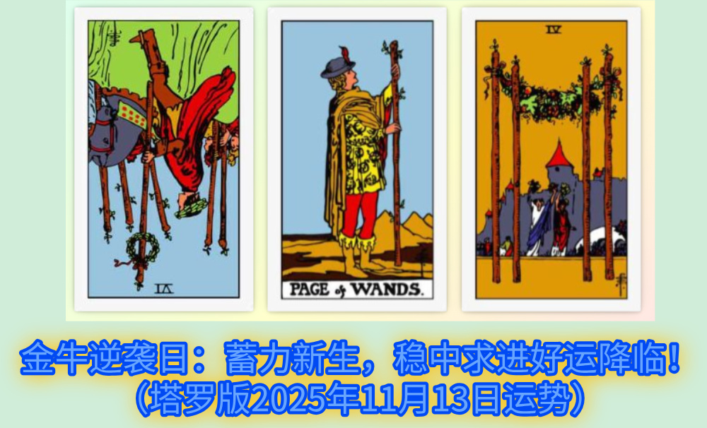 金牛逆袭日：蓄力新生，稳中求进好运降临！（塔罗版2025年11月13日运势）