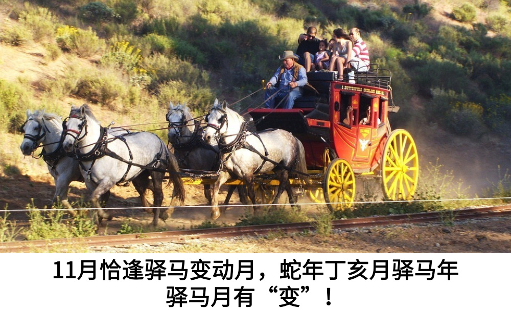 11月恰逢驿马变动月，蛇年丁亥月驿马年驿马月有【变】！