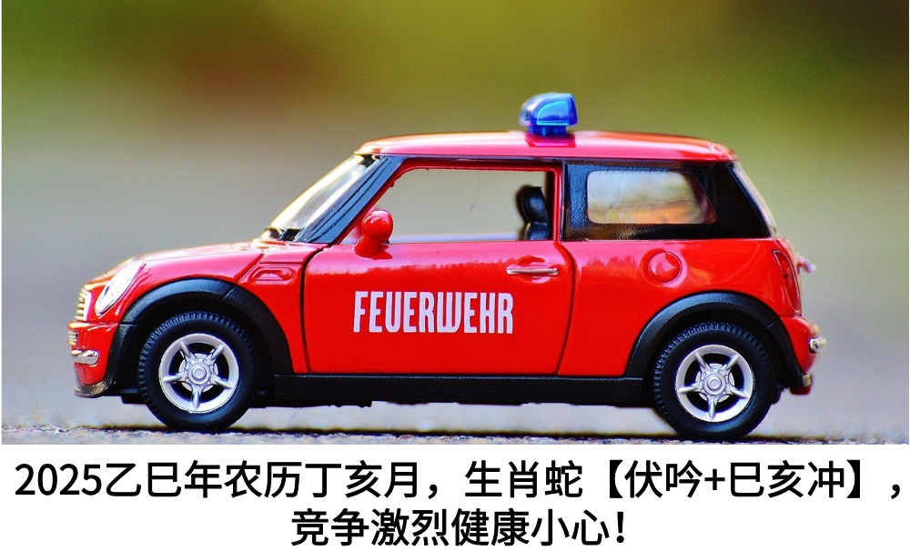 2025乙巳年农历丁亥月，生肖蛇【本命年伏吟+巳亥冲】，竞争激烈健康小心！