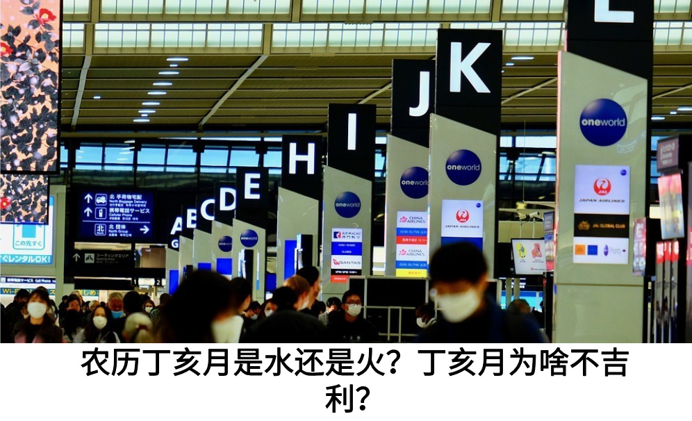 丁亥月是哪一个月？丁亥月冲什么最厉害？蛇、猪、猴名列前茅！