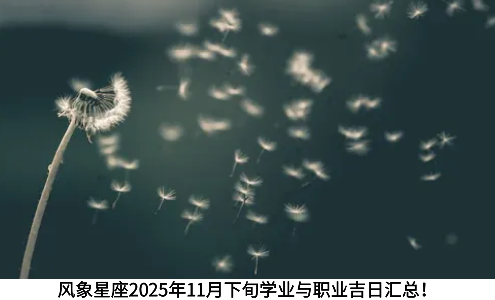 风象星座2025年11月下旬学业与职业吉日汇总！