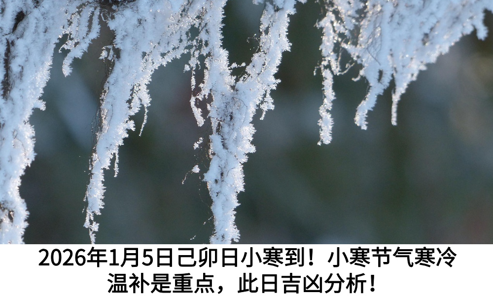 2026年1月5日己卯日小寒到！小寒节气寒冷温补是重点，此日吉凶分析！