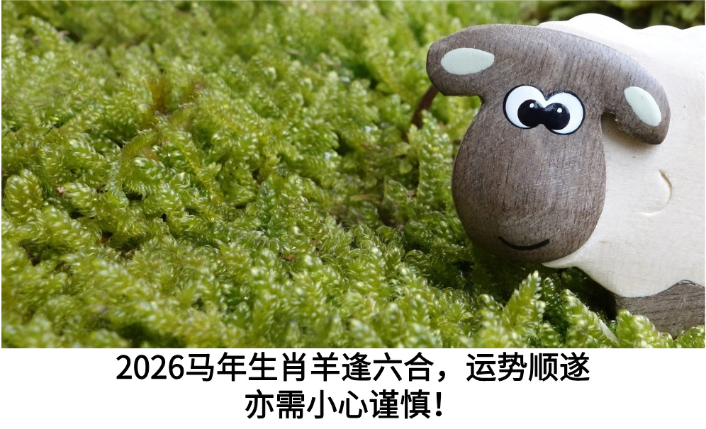 2026马年生肖羊逢六合，运势顺遂亦需小心谨慎！