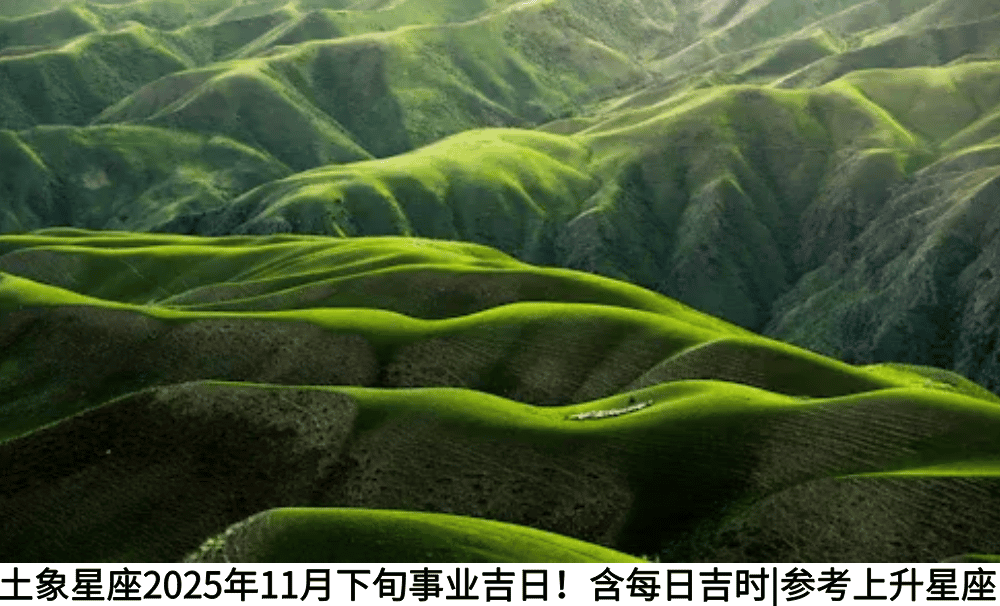 土象星座2025年11月下旬事业吉日!含每日吉时|参考上升星座