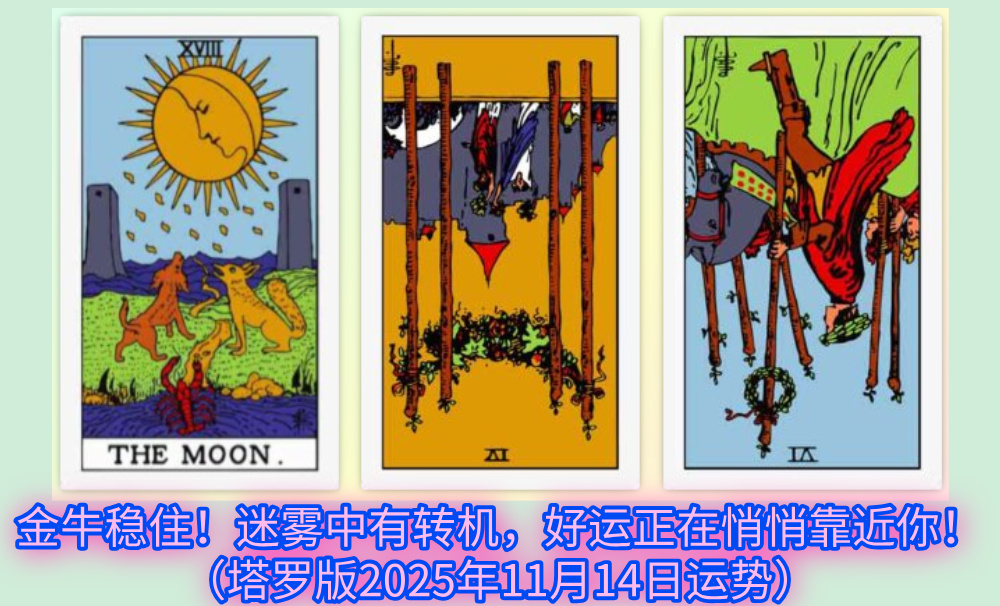 金牛稳住！迷雾中有转机，好运正在悄悄靠近你！（塔罗版2025年11月14日运势）