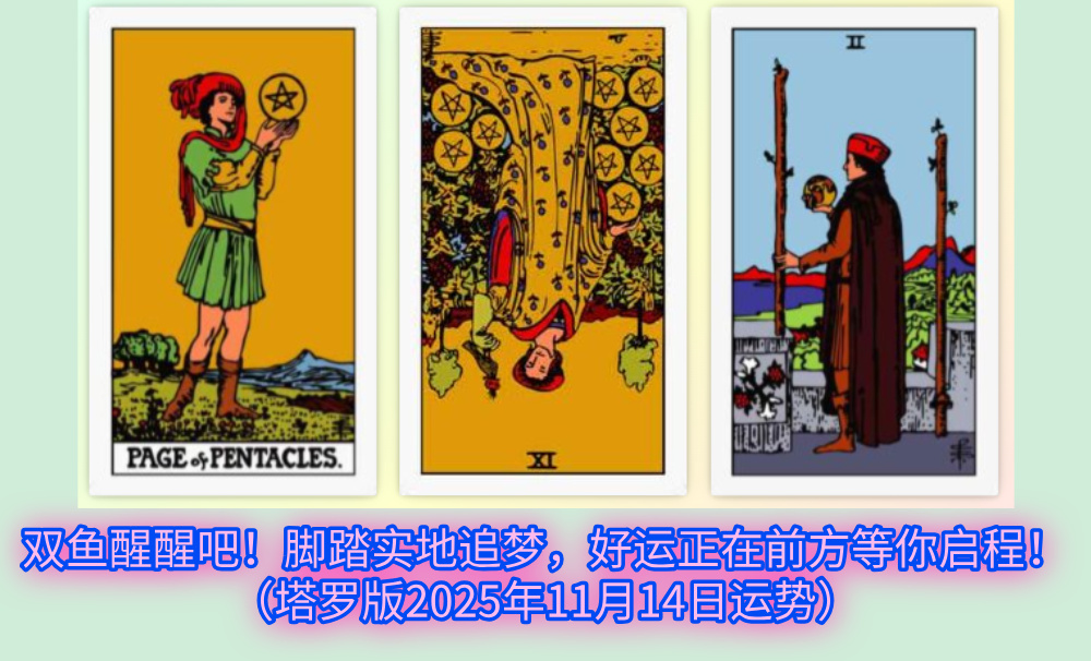 双鱼醒醒吧！脚踏实地追梦，好运正在前方等你启程！（塔罗版2025年11月14日运势）