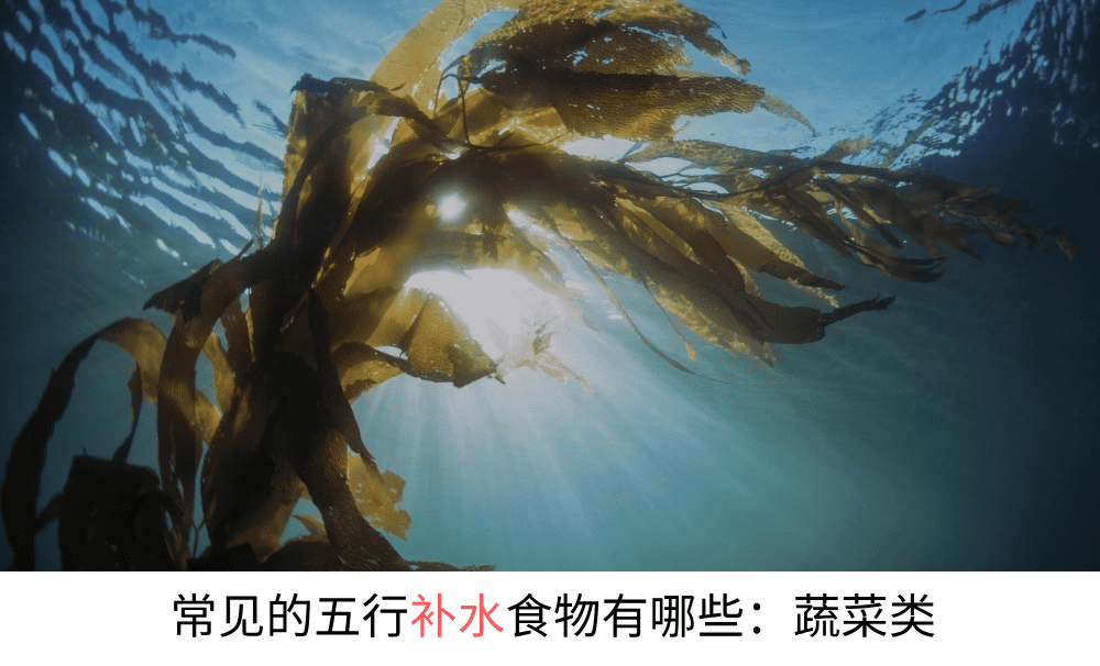 常见的五行补水食物有哪些：蔬菜类