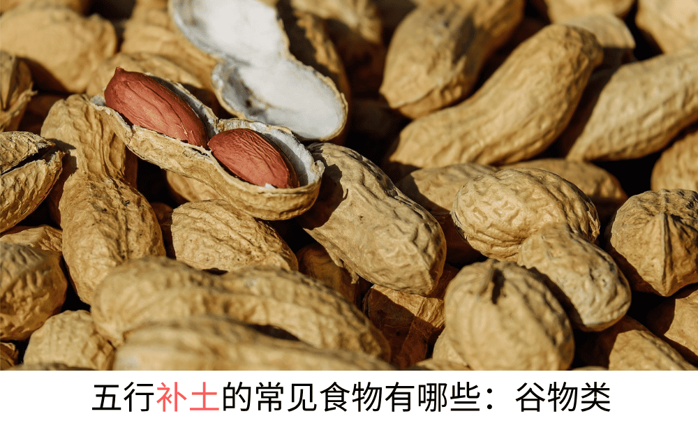 五行补土的常见食物有哪些：谷物类