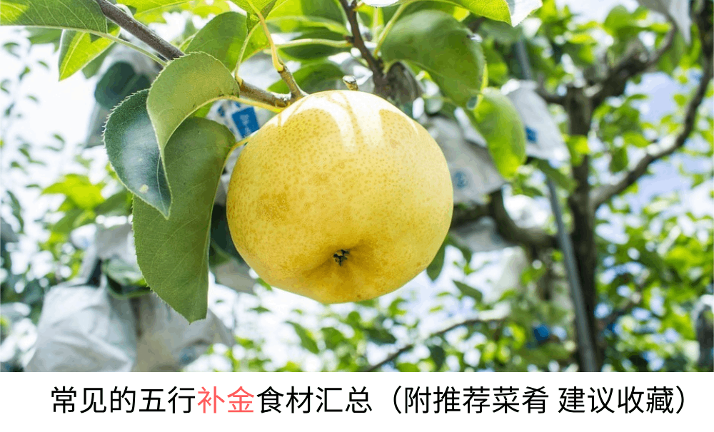 常见的五行补金食材汇总（附推荐菜肴建议收藏）