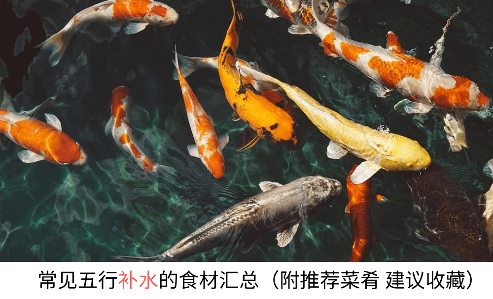 常见五行补水的食材汇总（附推荐菜肴建议收藏）