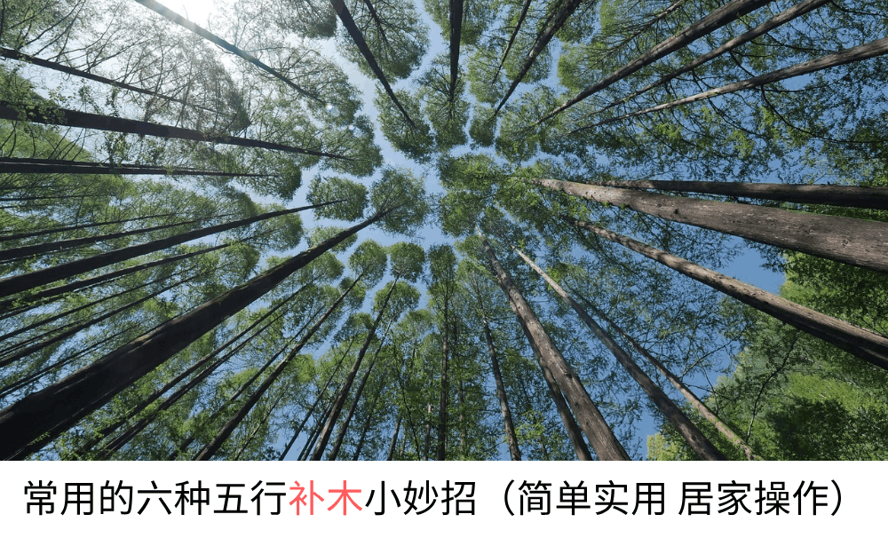 常用的六种五行补木小妙招（简单实用居家操作）