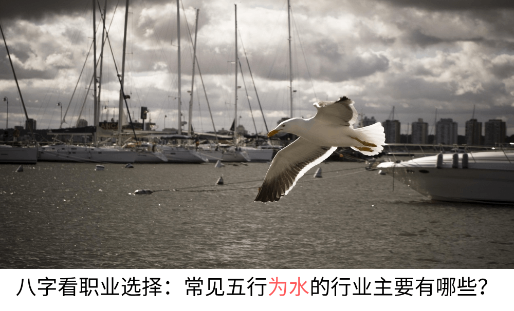 八字看职业选择：常见五行为水的行业主要有哪些？（建议收藏）
