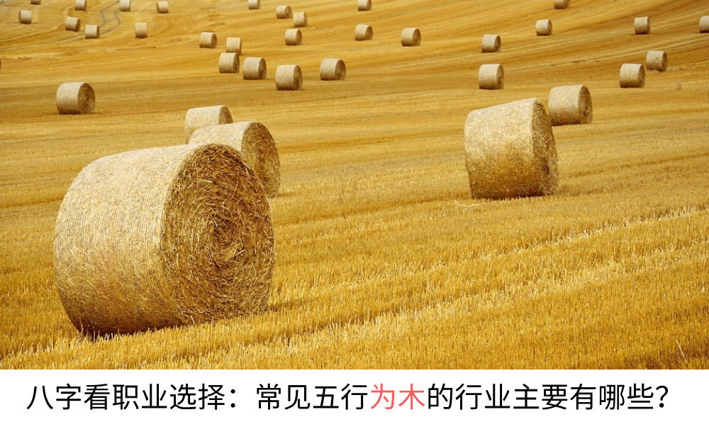 八字看职业选择：常见五行为木的行业主要有哪些？（建议收藏）