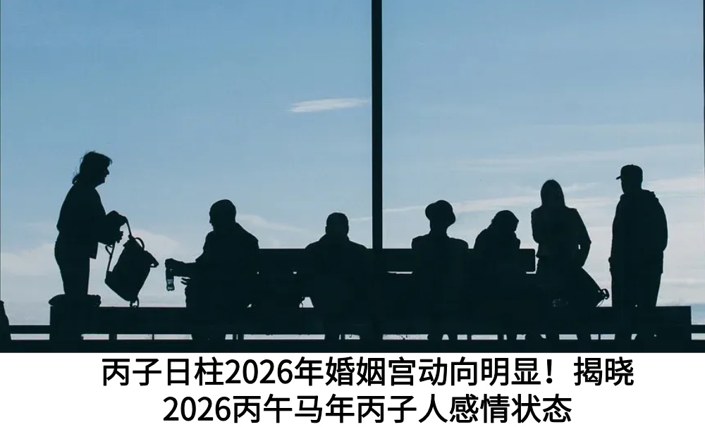 丙子日柱2026年婚姻宫动向明显！揭晓2026丙午马年丙子人感情状态