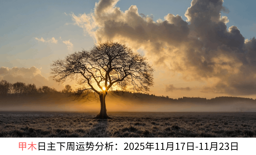 甲木日主下周运势分析：2025年11月17日-11月23日（附调整指南）