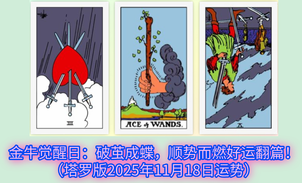 金牛觉醒日：破茧成蝶，顺势而燃好运翻篇！（塔罗版2025年11月18日运势）