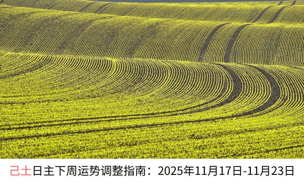 己土日主下周运势调整指南：2025年11月17日-11月23日