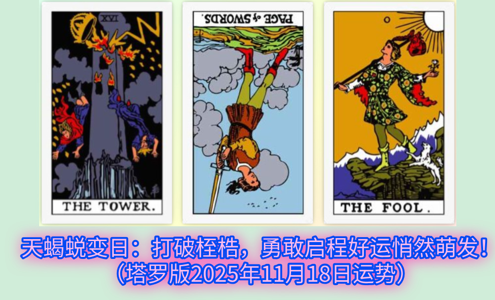 天蝎蜕变日：打破桎梏，勇敢启程好运悄然萌发！（塔罗版2025年11月18日运势）