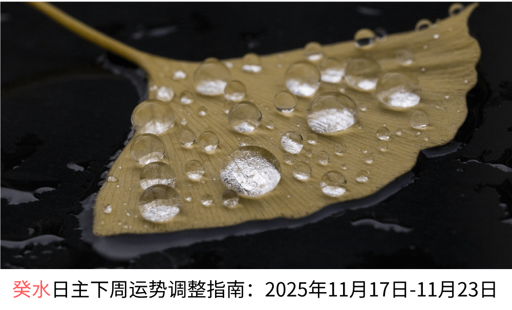 癸水日主下周运势调整指南：2025年11月17日-11月23日