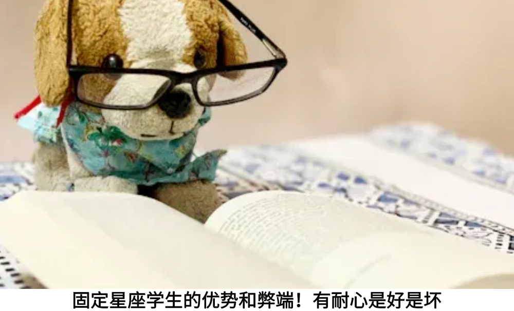 固定星座学生的优势和弊端!有耐心是好是坏