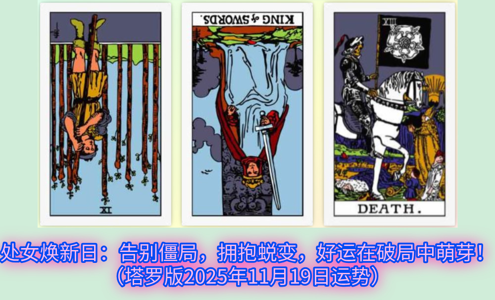 处女焕新日：告别僵局，拥抱蜕变，好运在破局中萌芽！（塔罗版2025年11月19日运势）