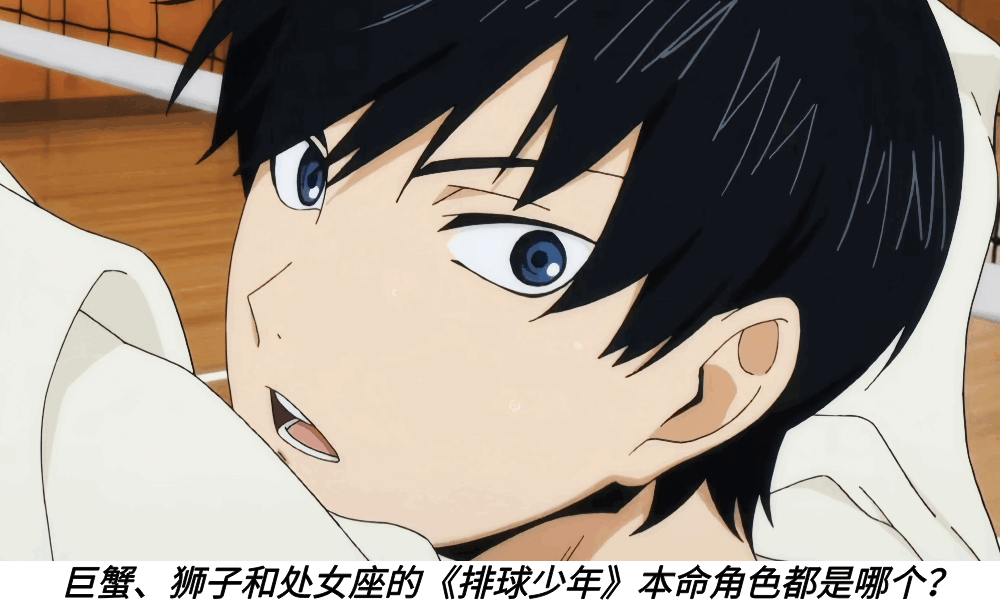 巨蟹、狮子和处女座的《排球少年》本命角色都是哪个？