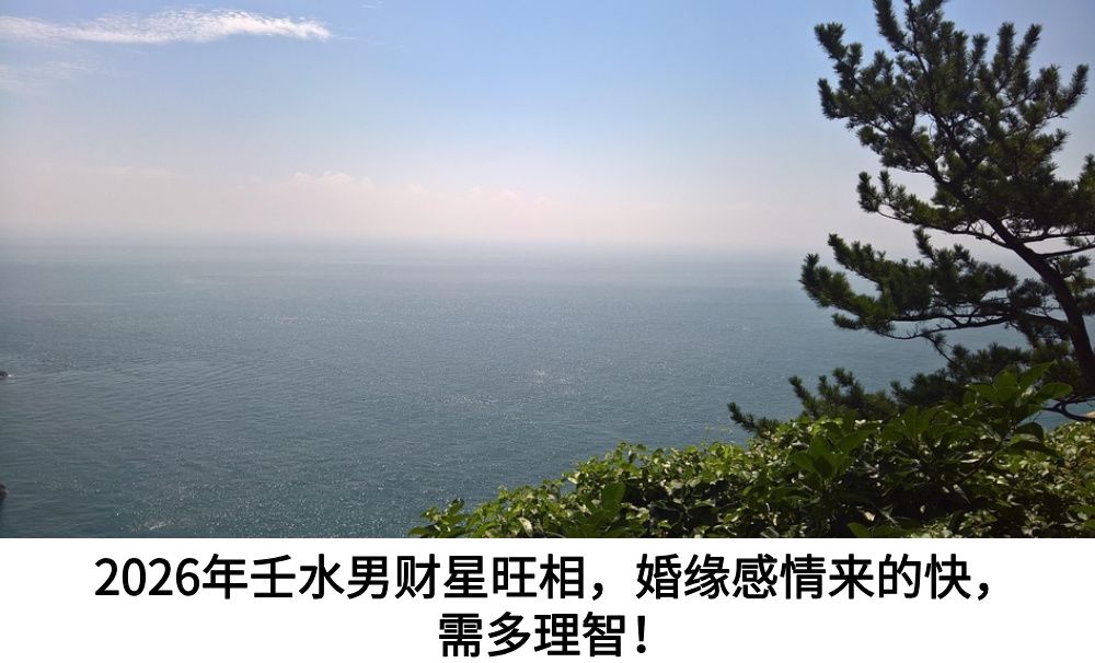 2026年壬水男财星旺相,感情来的快,需多理智!