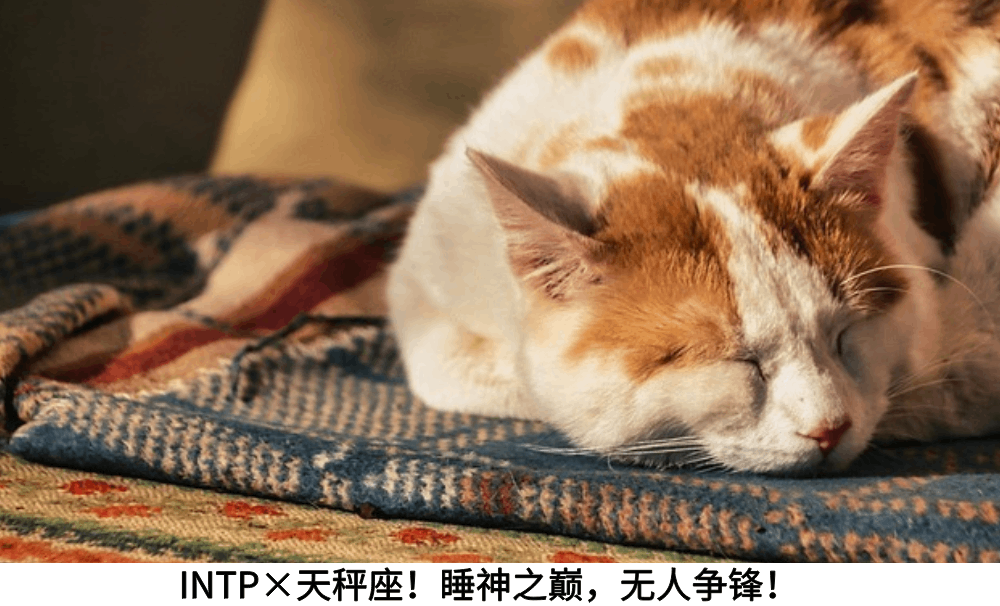 INTP×天秤座！睡神之巅，无人争锋！