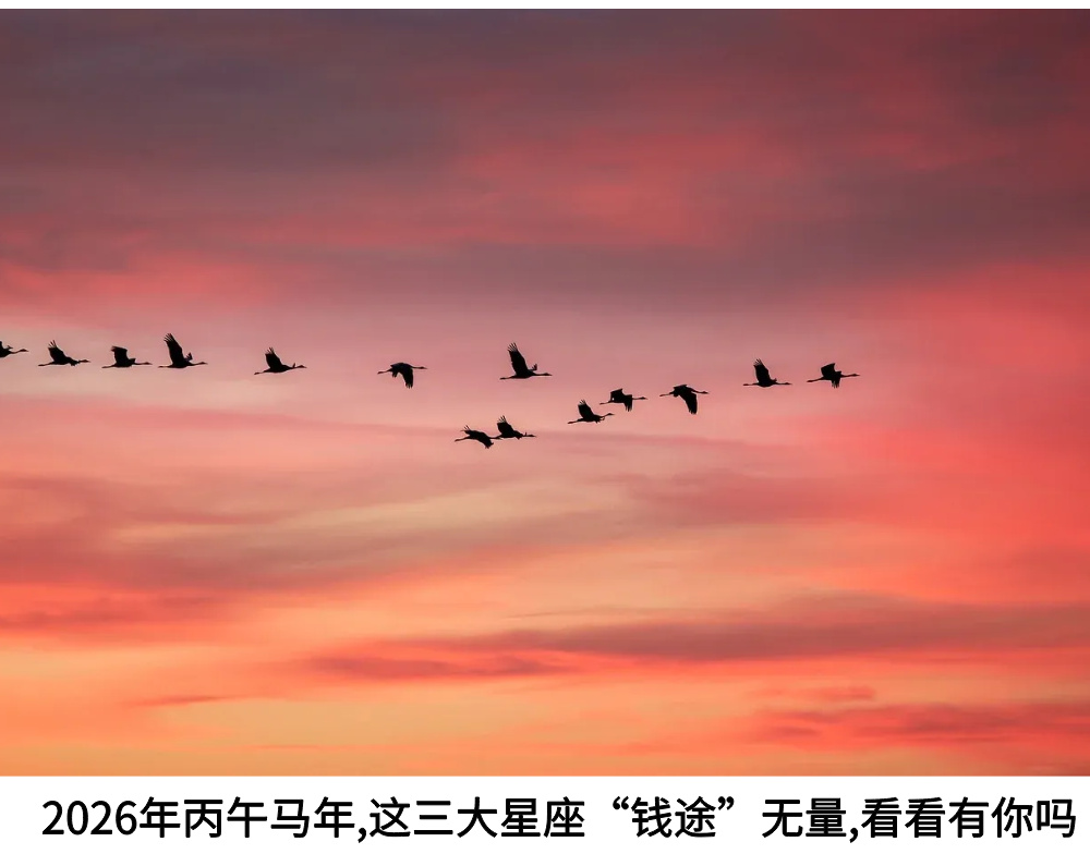 2026年丙午马年,这三大星座钱途无量,看看有你吗？
