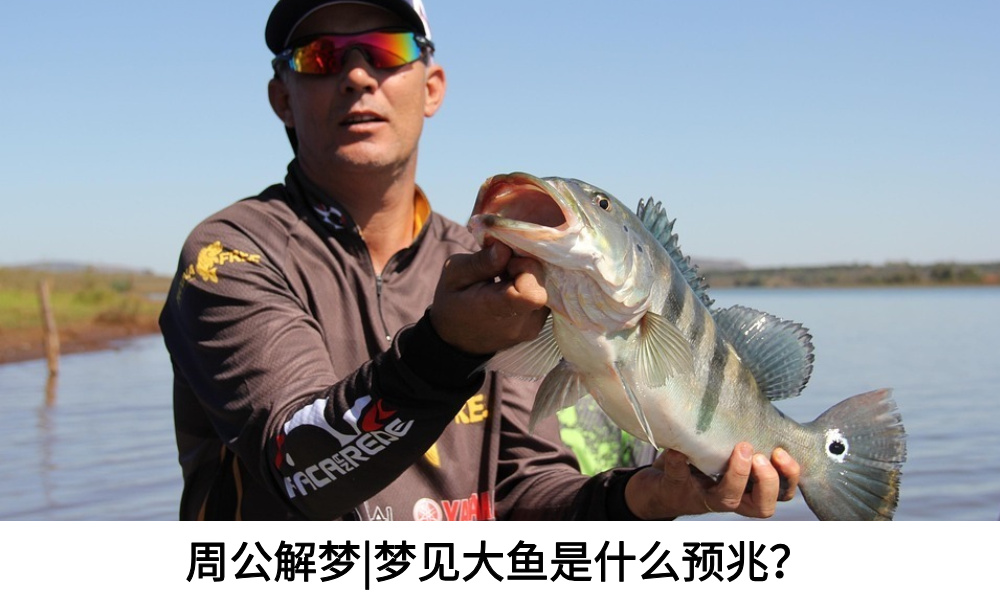 周公解梦|梦见大鱼是什么预兆？