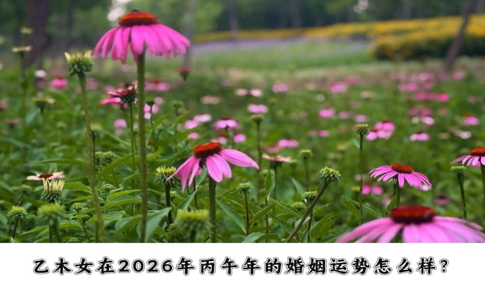 乙木女在2026年丙午年的婚姻运势怎么样？