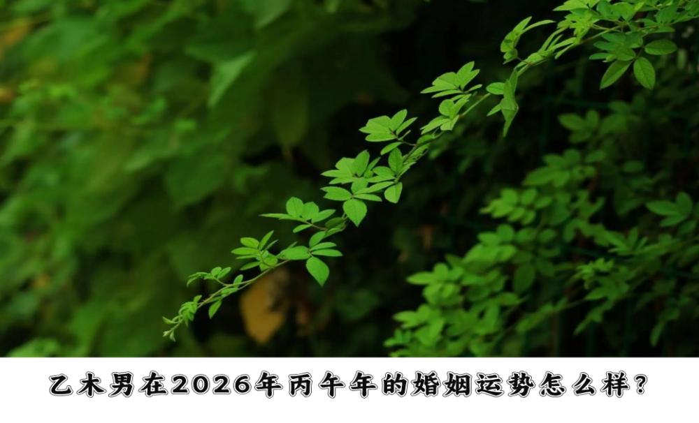 乙木男在2026年丙午年的婚姻运势怎么样？