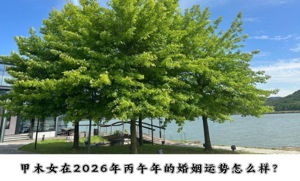 甲木女在2026年丙午年的婚姻运势怎么样？