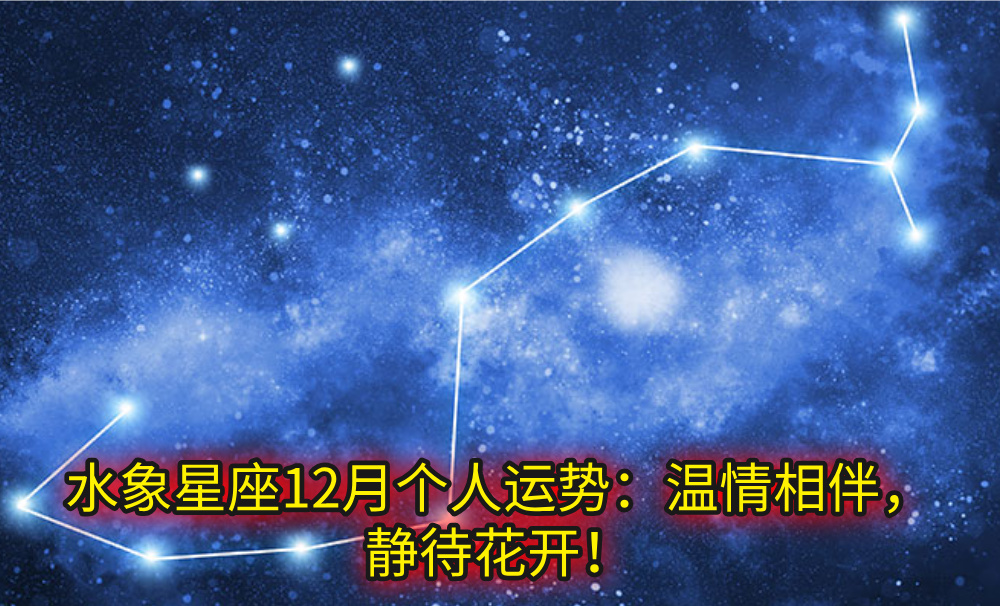 水象星座12月个人运势：温情相伴，静待花开！