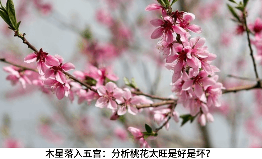 木星落入五宫：分析桃花太旺是好是坏？