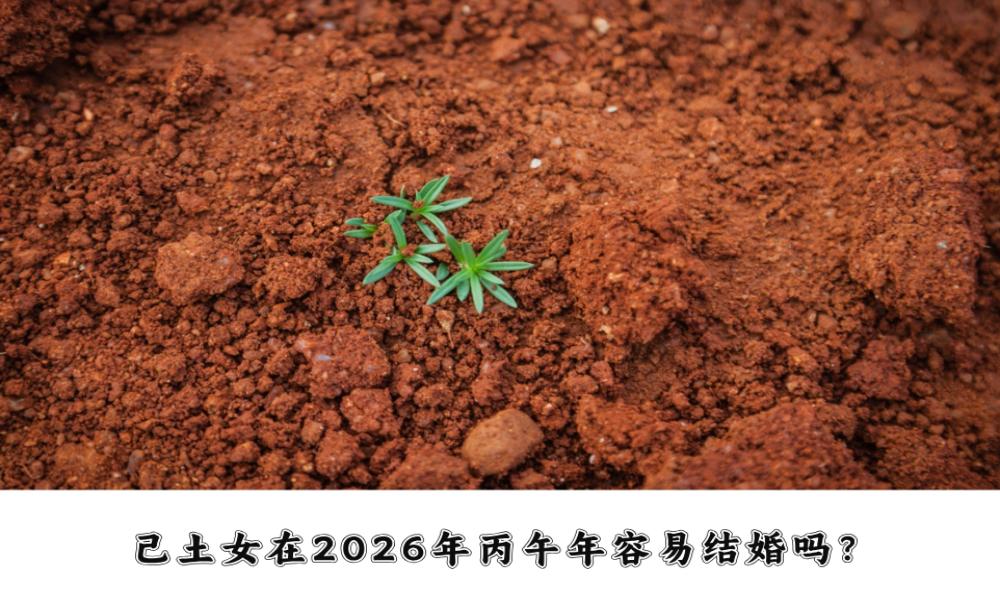 己土女在2026年丙午年容易结婚吗？